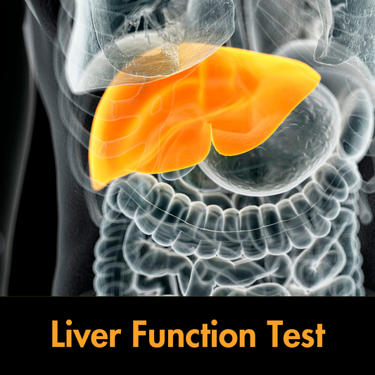 Liver Function Test in Kolkata