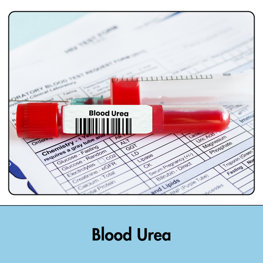 Blood Urea test in Kolkata