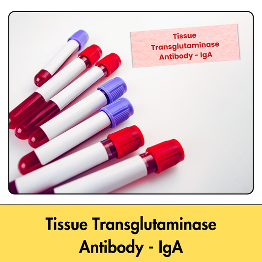 Tissue Transglutaminase Antibody - IgA test in Kolkata